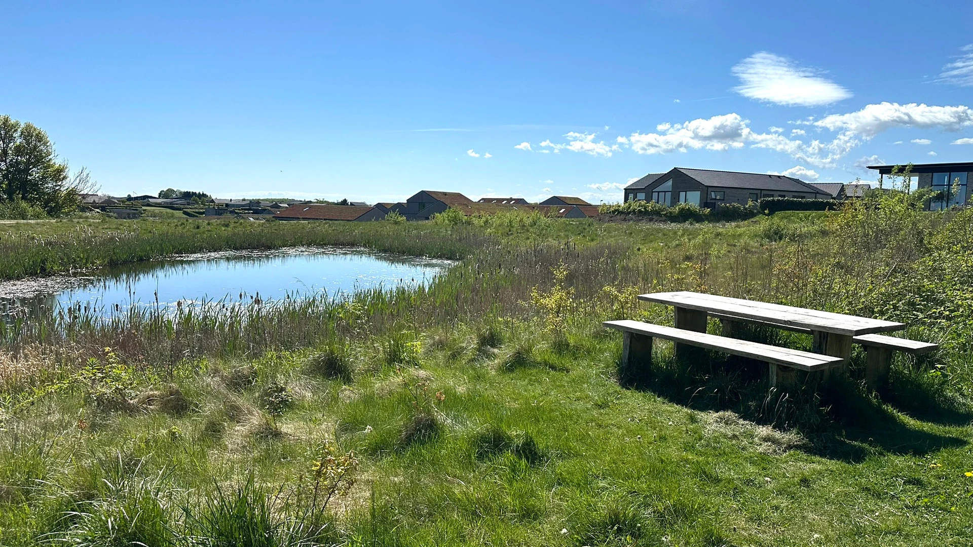 Vandhus og huse i bydelen Bendixminde i Odder vestby